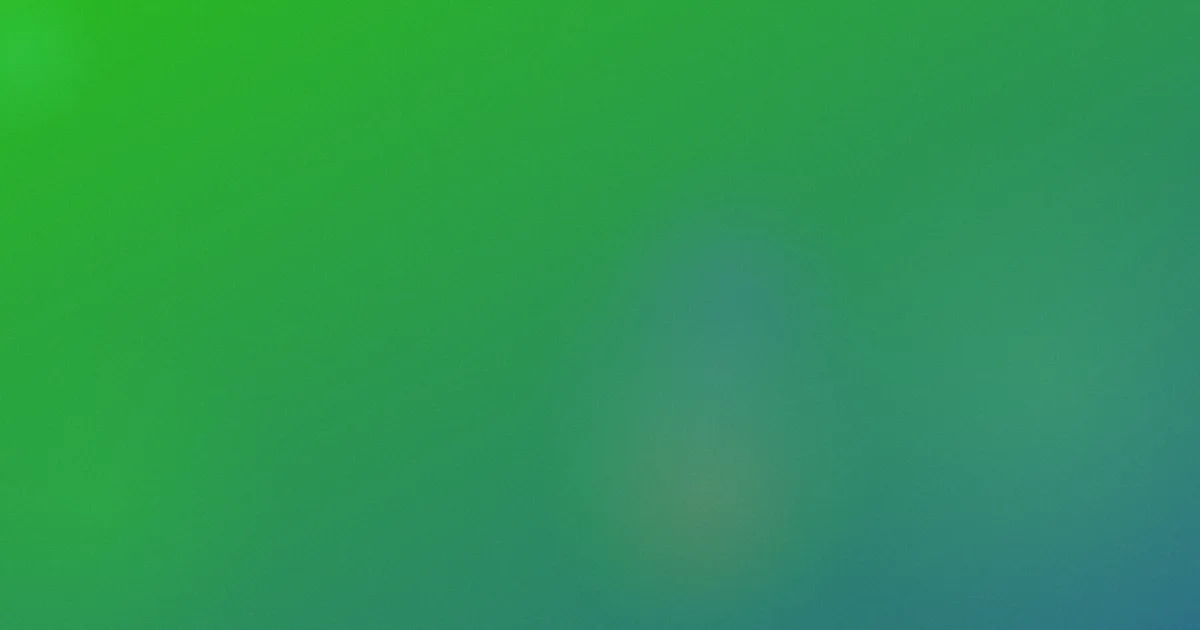 手机看片欧美是什么？一次说清